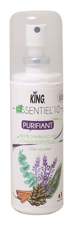 Image de ESSENTIEL' 10 ASSAINISSANT DESODORISANT 100ML