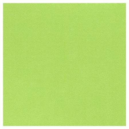 Image de CELI OUATE SERV. PISTACHE 38x38cm x 900