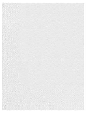 Image de SERV. TABLE 30 x 39cm 2 Plis BLANC x 2400