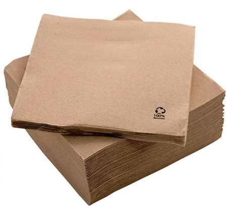 Image de SERVIETTE ECONATURAL 24x16  X 6000