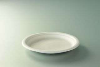 Image de ASSIETTE BIO FIBRES DE CANNE DIAM 23 x500