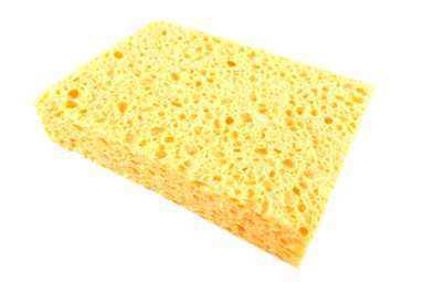 EPONGE N° 4 NON BORDEE LOT DE 10