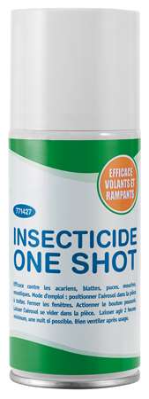 Image de AEROSOL INSECTICIDE ONE SHOT 150ML
