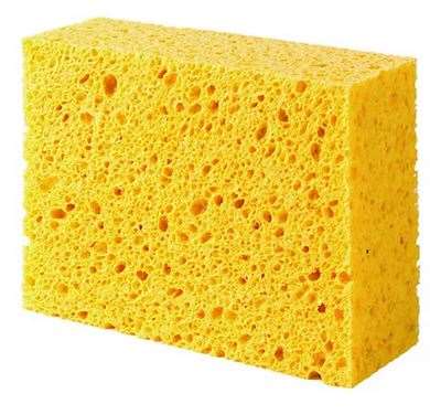 Image de EPONGE VÉGÉTALE N°8 GROS TRAVAUX NON BORDÉE X10